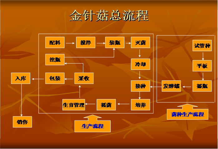 1523951860595602.jpg 食用菌工藝圖.jpg